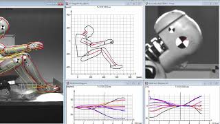 Automotive engineering - analysis of dummy motion with TEMA