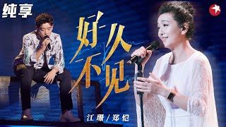 江珊唱歌也太好听了！与郑恺一曲《好久不见》真是名副其实的跨界歌王！  #电视剧品质盛典 clip