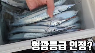 바다투망: 바다에서 형광등이 쏟아진다!!