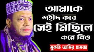 আমাকে শহীদ করে সেই মিছিলে শামিল করে দিও। মুফতী আমির হামজা কুষ্টিয়া