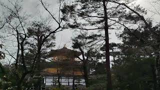 2025.02.16)大阪金閣寺での記録７