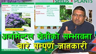 नेपालमा अर्नामेन्टल खेती गर्न सकिने बारे महत्वपूर्ण जानकारी || NAFSCOL Krishi Ban || Kath kheti ||