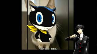 Morgana needs food