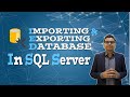 Database Import and Export in SQL Server Management Studio (SSMS) #sql #ssms #sqlserver #learn