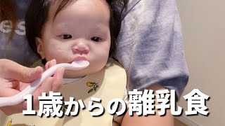 【4pマイナス症候群】再、再チャレンジの離乳食。