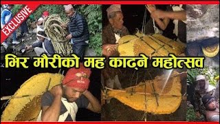 Honey Hunting In Nepal । Landruk । Part - 7 । Himalayan honey hunters of Nepal । Live Honey hunting