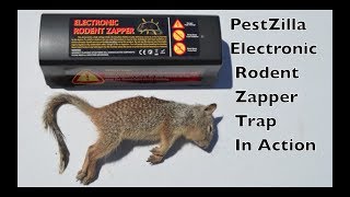 PestZilla Electronic Rodent Zapper Trap In Action - With Motion Cameras