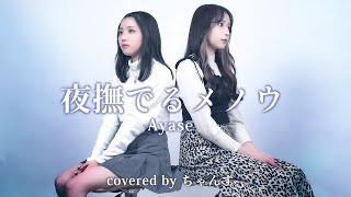 【歌ってみた】夜撫でるメノウ / Ayase (covered by ちゃんず)