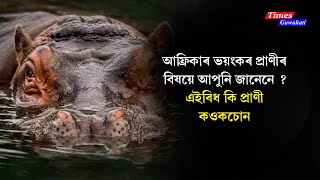 আফ্ৰিকাৰ এনেবোৰ ভয়ংকৰ প্ৰাণীৰ বিষয়ে জানি আপোনাৰ বুকু কপি উঠিব !