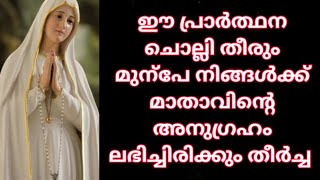 1മിനിറ്റ് മാതാവിന്റെ അത്ഭുതം നിങ്ങൾക്ക് ലഭിക്കുന്ന അധിശക്തമായ പ്രാർത്ഥന |powerful mary prayer