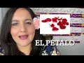 plants and flowers names in spanish learn spanish spanish 1 plants gardening gardeningtips