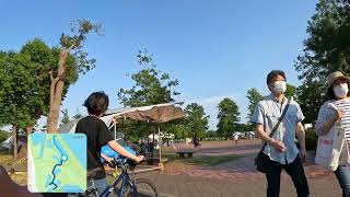 葛飾 水元公園・みさと公園 5/12 2022.6.5