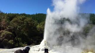 Lady Knox Geyser, Wai-O-Tapu, Rotorua, New-Zealand