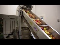 Cider Making Video w/ Jingle