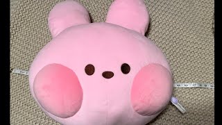 BTS BT21 Cooky minini Big Head Cushion unboxing