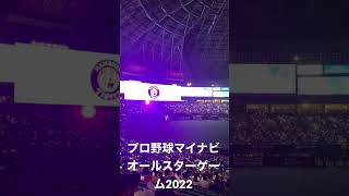 【※音量注意】マイナビオールスターゲーム2022 締めの花火【PayPayドーム】