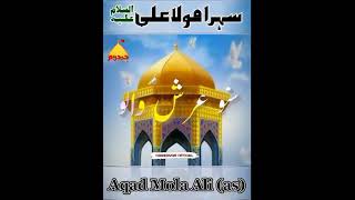 New Qasida | 1 Zilhaj Shadi Mola Ali Bibi Fatima | Short clips 2022