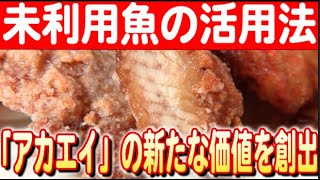 【魚の可能性再考】宮城県塩釜市、地元企業がアカエイを商品化し地域振興へ 日本財団 海と日本PROJECT in みやぎ 2024 #05