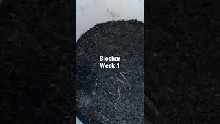 Inoculating biochar #biochar #shorts  #update