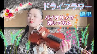 『ドライフラワー』優里 バイオリンで弾いてみた