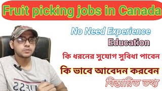 Fruit picking jobs in Canada/Canada work permit Visa /কানাডার ফলের বাগানে কাজের ভিসা