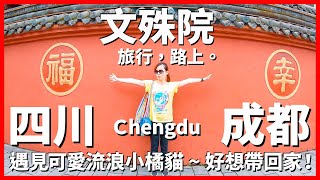 【成都Ep14】在文殊院遇见可爱的流浪小橘猫~好想带回家！｜Chengdu｜旅行，路上。