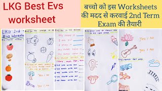 LKG EVS Worksheet/LKG EVS Worksheet for 2nd term Exam/junior kg Evs worksheet