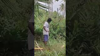 ചൂണ്ട ഇട്ടു കറിക്കുള്ള മീൻ പിടിക്കണം #lijisujith #fishing #shorts