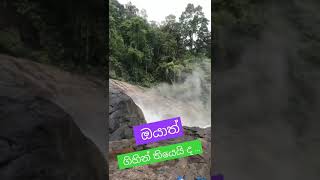 ඔයත් ගිහින් තියෙයි ද ? 👀 #travel #trending #shorts