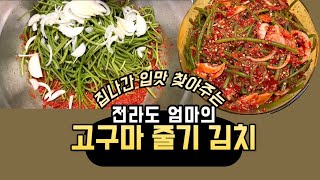 입맛없을때 먹으면 최고인 전라도 엄마의 고구마 줄기 김치 담그는 방법 (이것을 넣으면 맛이 특별해져요)