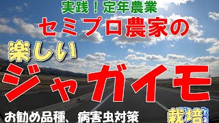 楽しいジャガイモ栽培