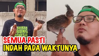 AKHIRNYA..!! ADA YANG BERHASIL TERNAK BURUN9 CILILIN - BURUNG ENDEMIK JAWA YANG HAMPIR PUN4H