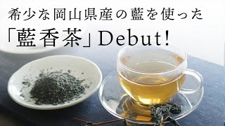 「藍香茶」デビュー！ 藍への情熱～デニムメーカー・ジャパンブルーの【藍食】への挑戦～