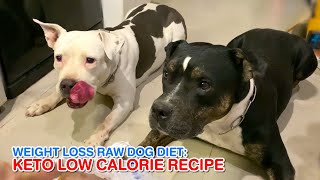 🐶🐶Weight Loss RAW DOG DIET: KETO LOW CALORIE RECIPE [ASMR] MUKBANG EP.01 of 2025 #lowcaldogfood