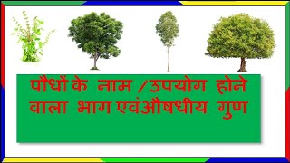 plants name and uses,10 औषधीय पौधों के नाम,औषधीय गुण|| plants name