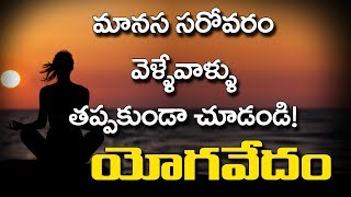 మానస సరోవరం వెళ్ళేవాళ్ళు  తప్పకుండా చూడండి || స్వాతి || యోగవేదం || ఆరోగ్యమేమహాభాగ్యం