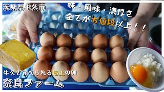 【牛久】牛久で食べられる高級卵を食べたらガチで異次元の美味しさだった＠奈良ファーム【茨城】