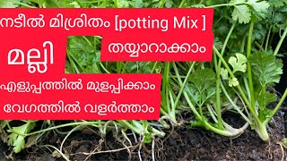 മല്ലിയില ഇത്ര എളുപ്പത്തിലും വേഗത്തിലും വളർത്താൻ അറിയേണ്ടതെല്ലാം ☝️|Dubai Home Garden HasNaZ'World|