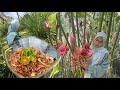 MASAK DARI HASIL KEBUN BELAKANG RUMAH | Jimat banyak takperlu beli lauk dah !