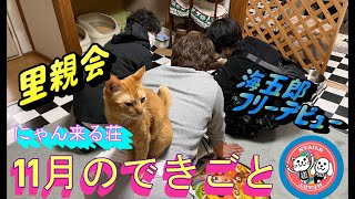 にゃんくる荘、11月のできごと