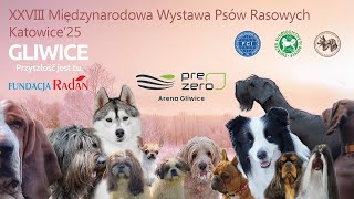 XXVIII Międzynarodowa Wystawa Psów Rasowych oddział Katowice - Niedziela Finały