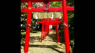 貴船神社でお参りしましょう。