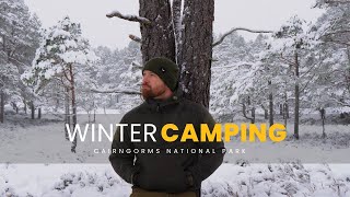 Two Nights Camping In A Snowy Pine Forest