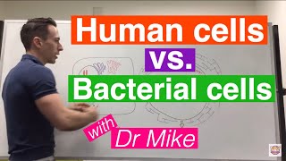 Eukaryotic vs. Prokaryotic Cells