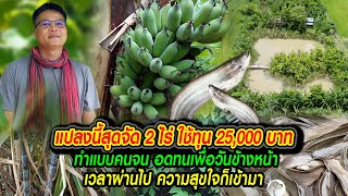 แปลงนี้สุดจัด 2 ไร่ ใช้ทุน 25,000 บ. ทำแบบคนจน อดทนเพื่อวันข้างหน้า เวลาผ่านไป ความสุขใจก็เข้ามา