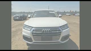 WA1BNAFY0K2037449 AUDI Q5 2019