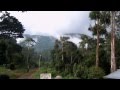 Preparing for Trekking Nshongi Mountain Gorillas in Bwindi Impenetrable Rain Forest, Uganda