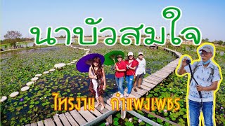 นาบัวสมใจ ไทรงาม กำแพงเพชร