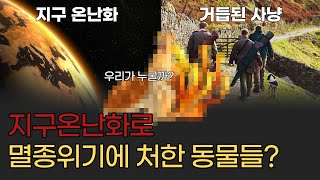 지구 온난화로 인해 멸종위기에 몰린 동물들!