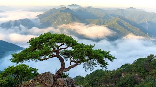 [ 조용한 등산 ]   일출산행  | 자연의소리  |  힐링여행  |  릴렉스  | 새소리  |  휴식  |  Nature  |  Hiking